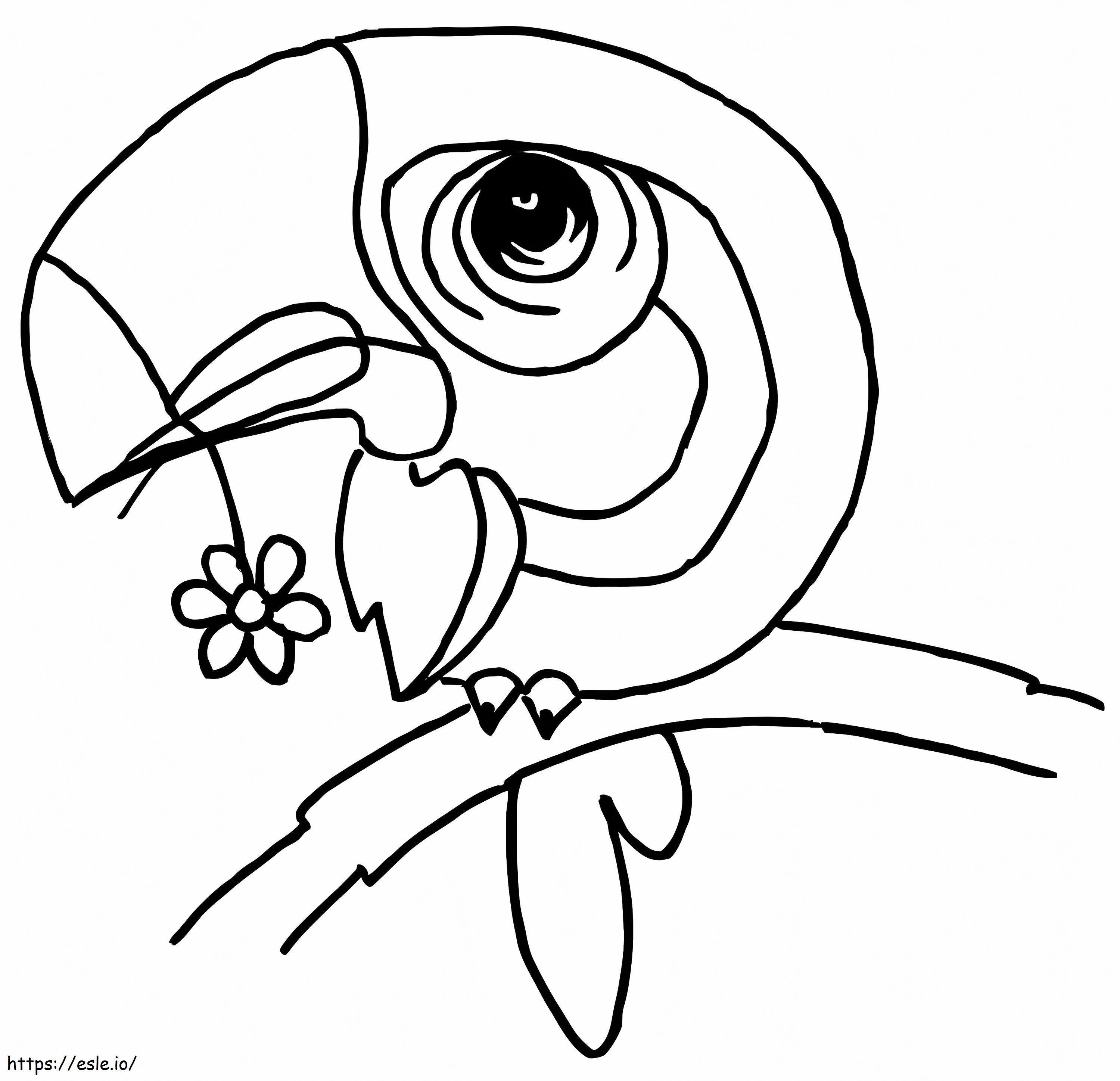 Cartoon Toucan coloring page