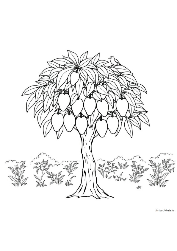 Coloriage Mangue