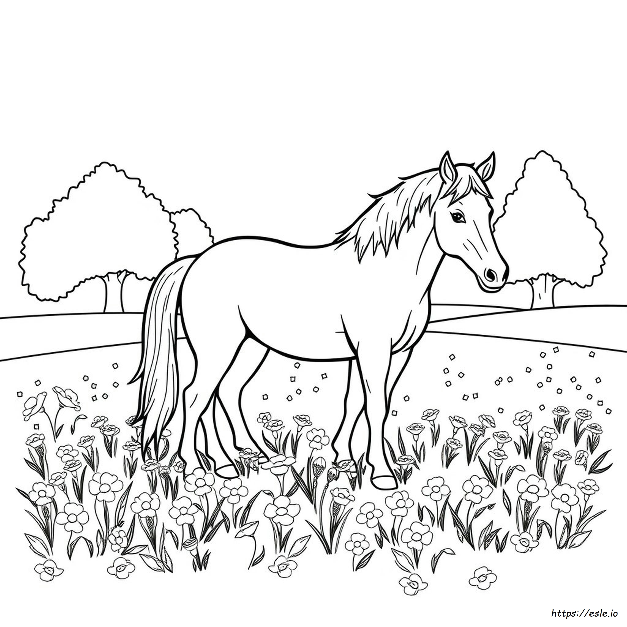 Caballos Para Colorear