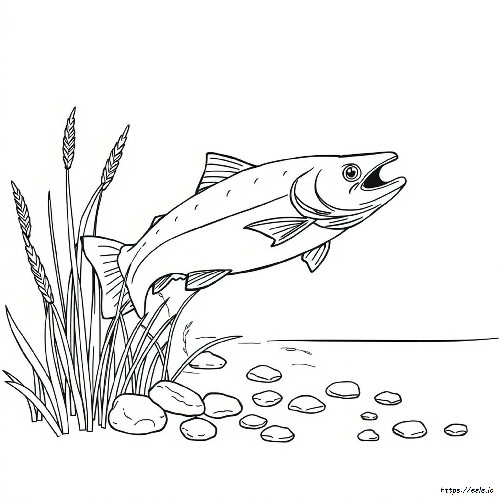 Realistic Salmon Coloring Pages