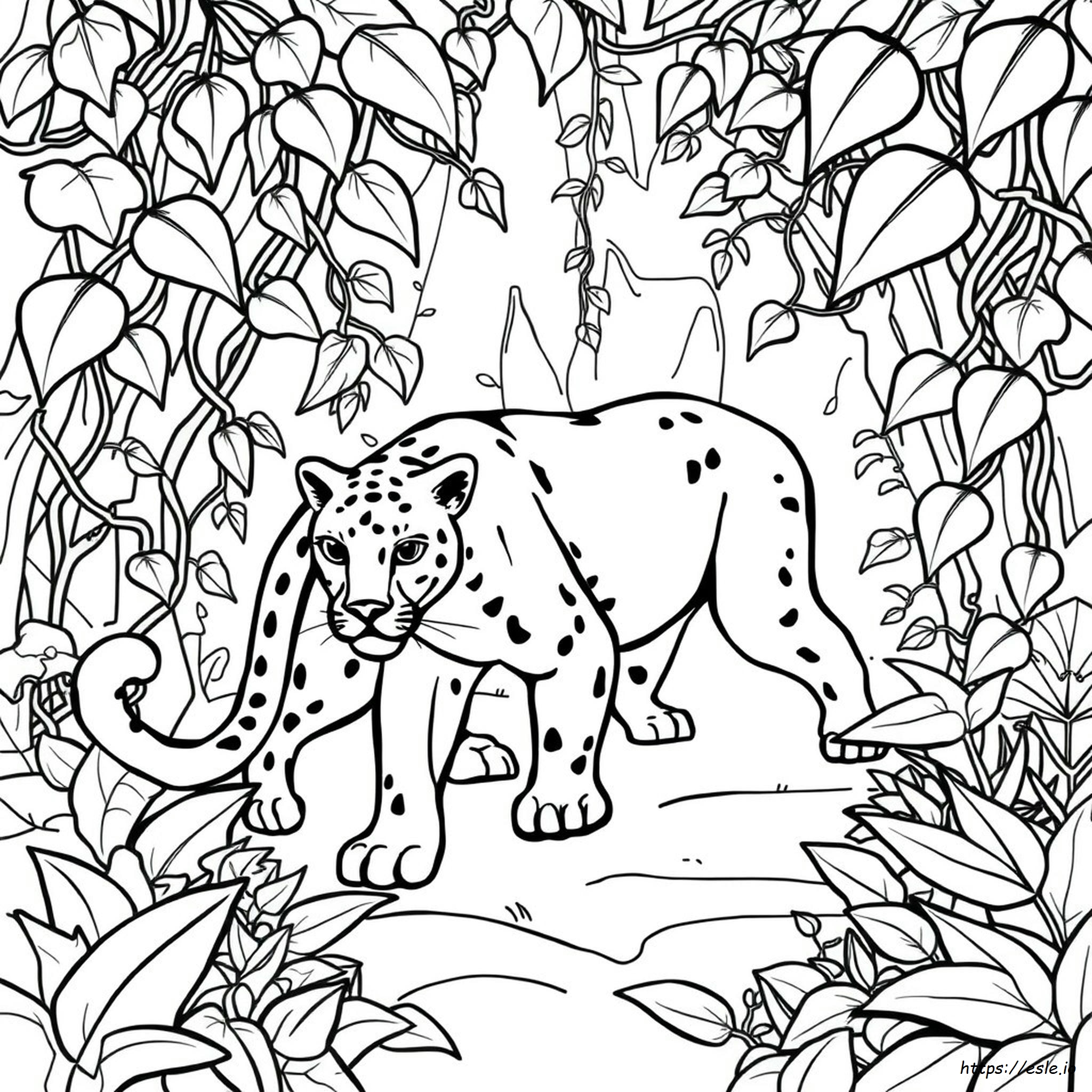 Panther Colouring In