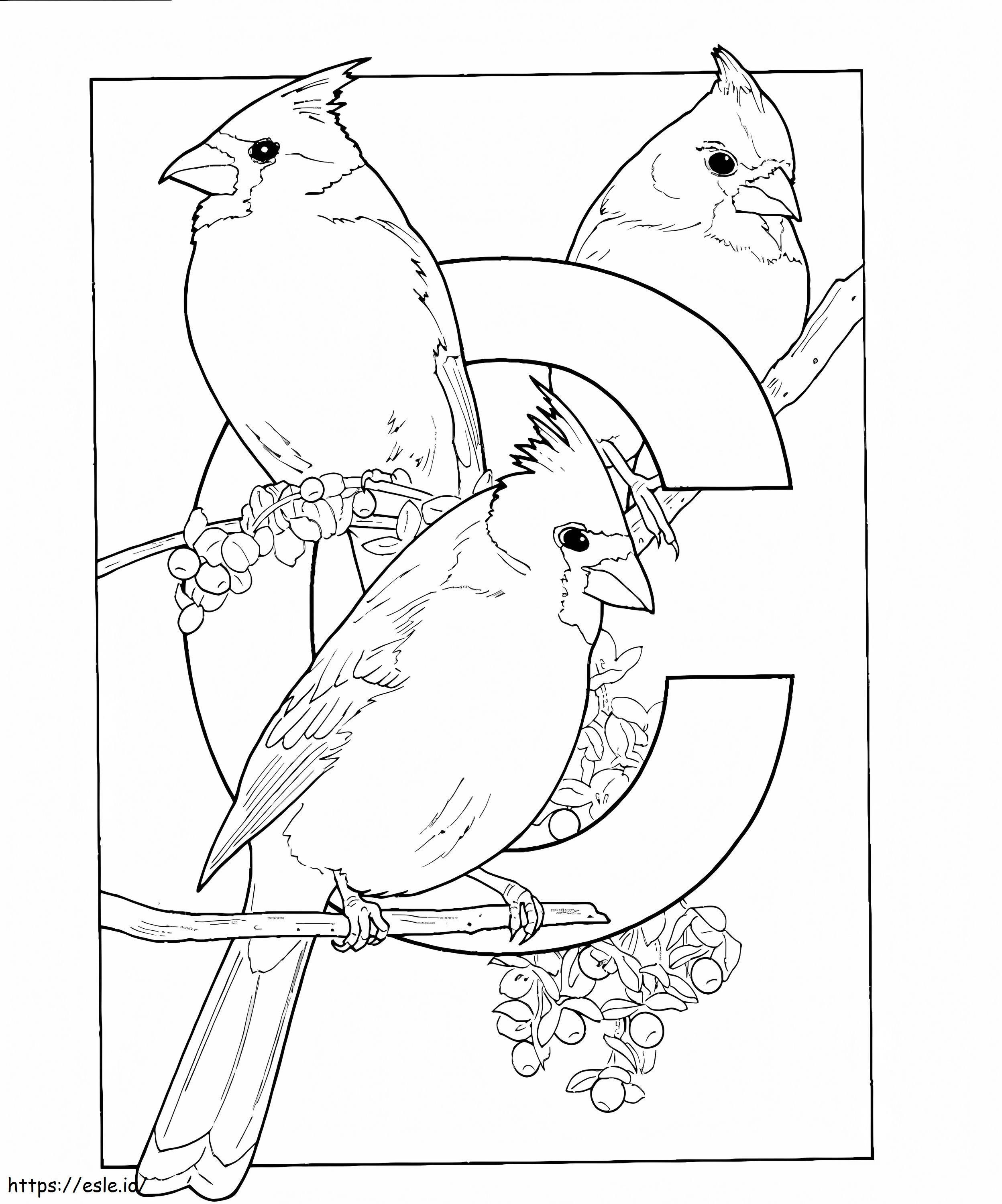 Coloriage L'alphabet C est pour les oiseaux cardinaux à imprimer dessin