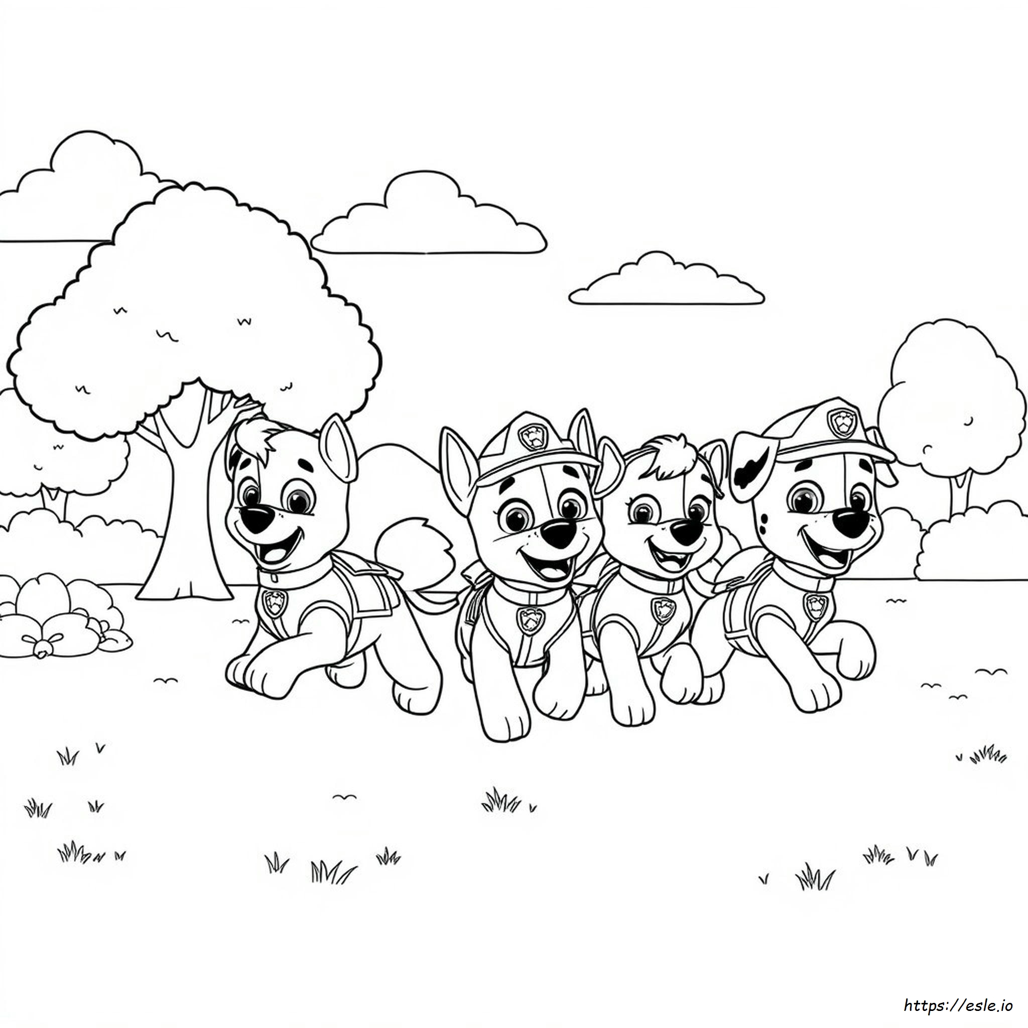 Libro Para Colorear De Paw Patrol