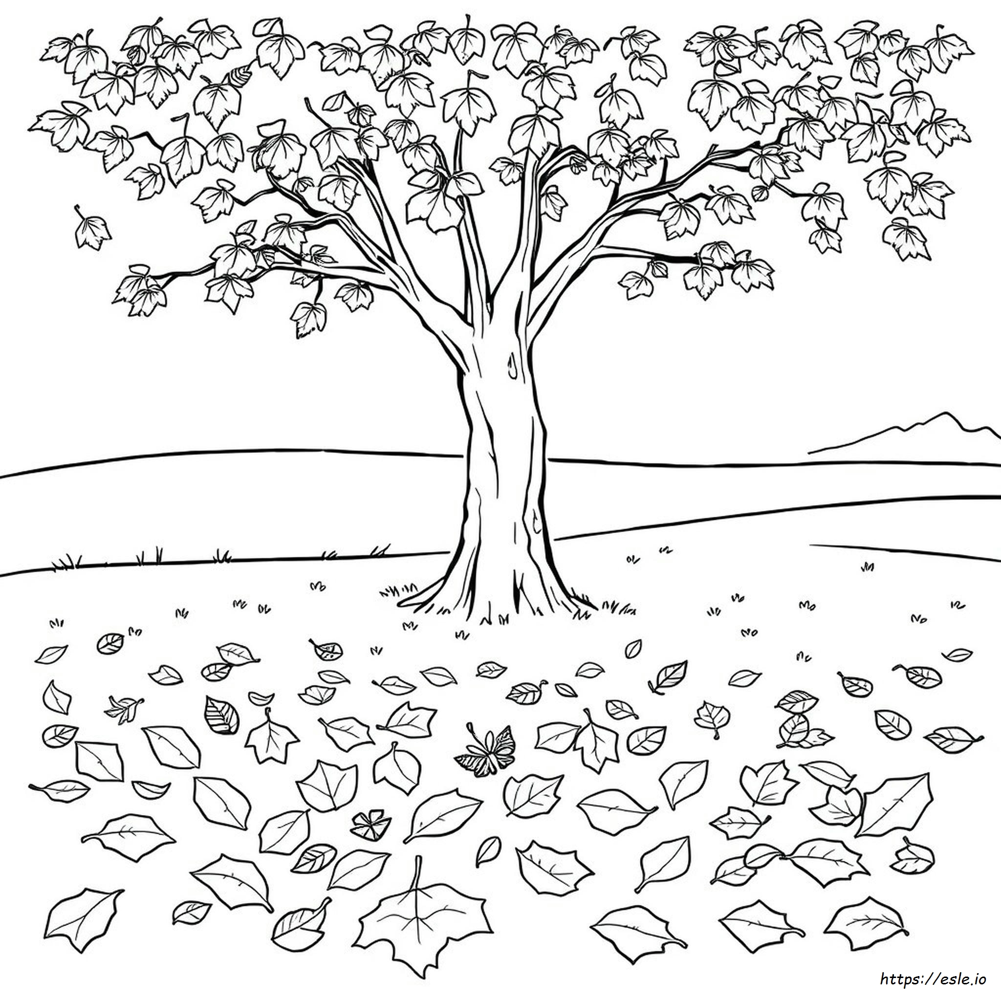 Hojas De Otoño Para Colorear Gratis