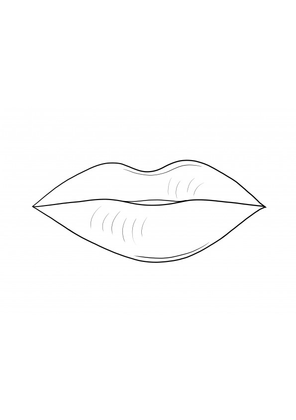 The free printable coloring sheet of Lips as a part of the human body to color