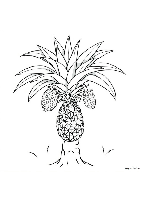 Hoja De Piña Para Colorear