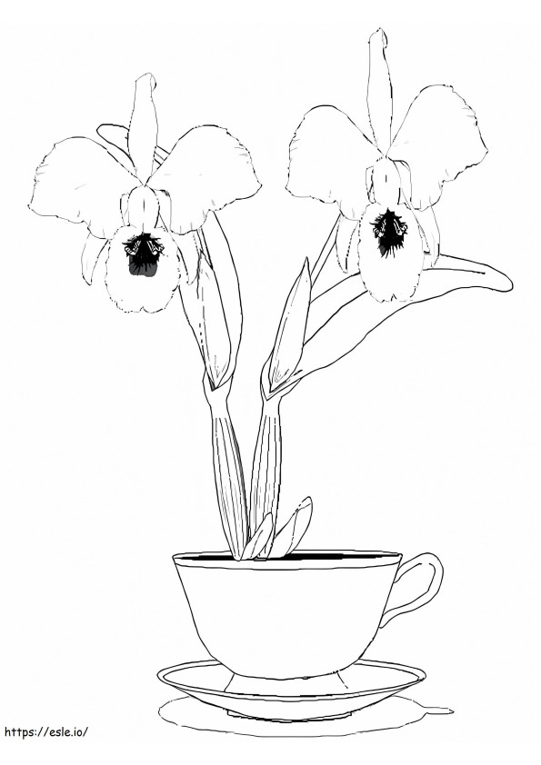 Orchid Flower For Kids coloring page