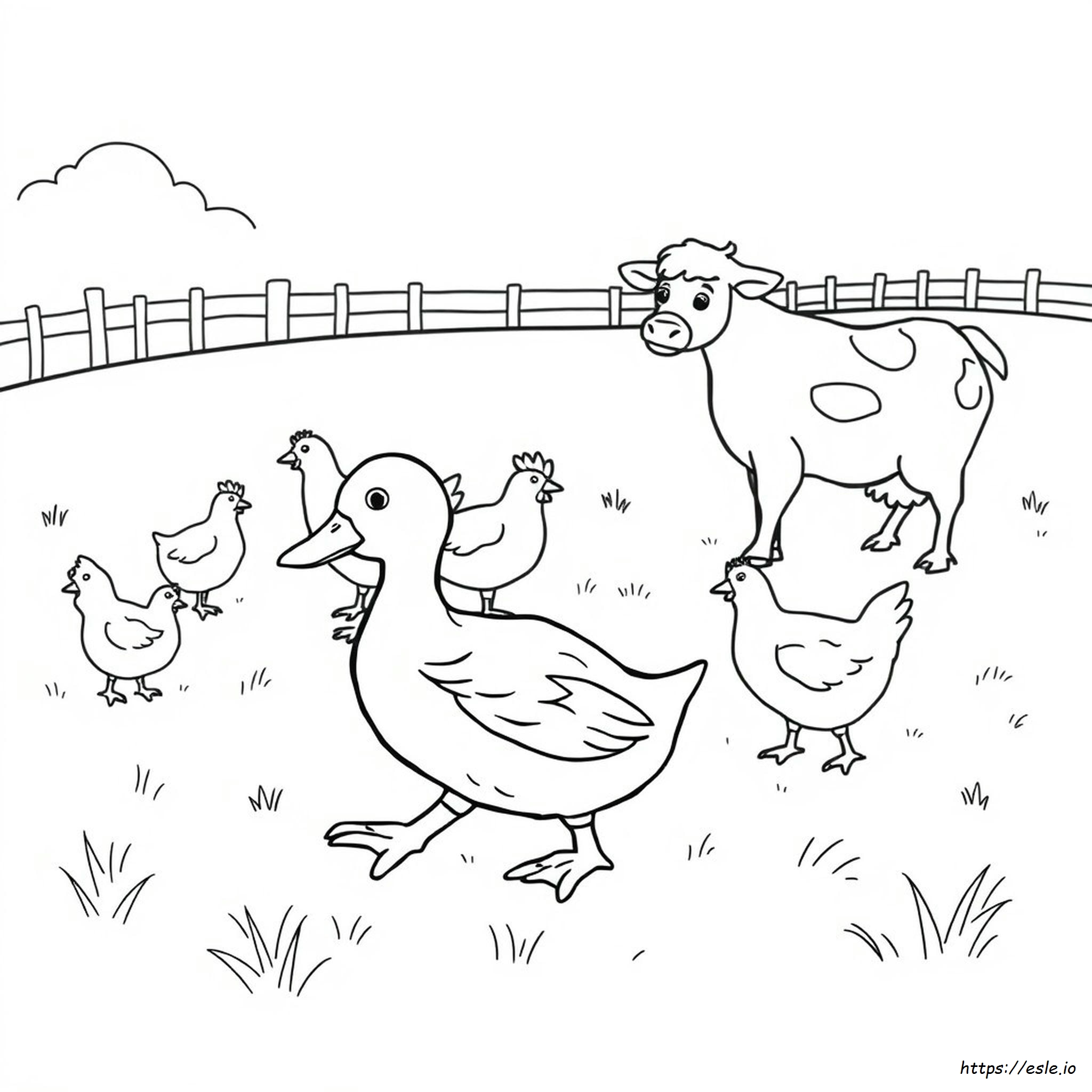 Colouring Pages Of Domestic Animals
