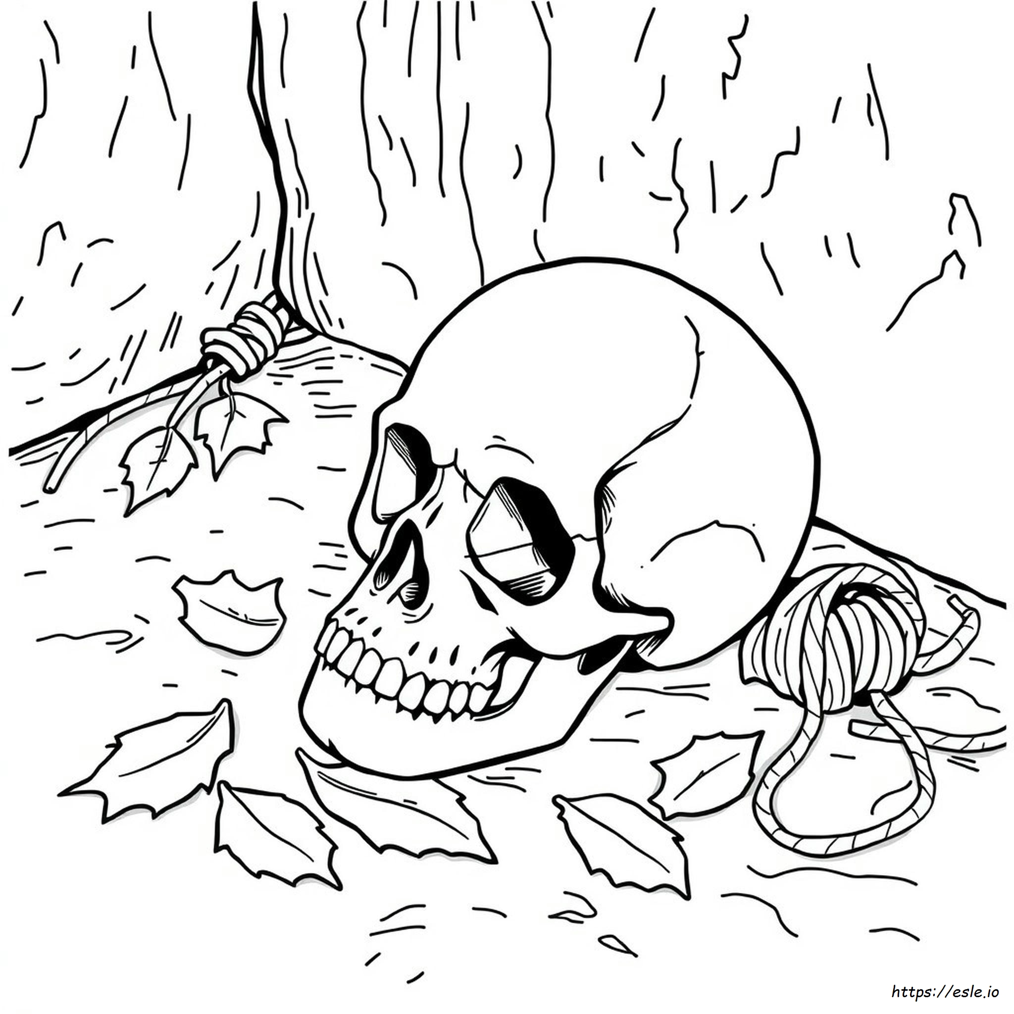 Skull Coloring Pages Printable Pdf