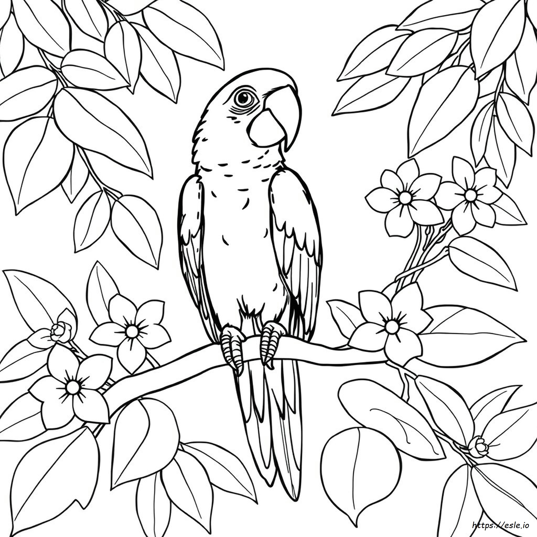 Macaw Coloring Pages To Print