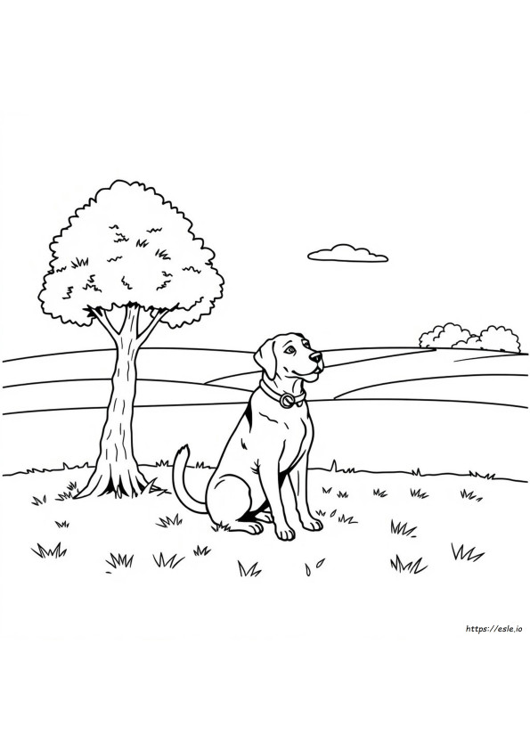Schwarzer Labrador Ausmalbilder
