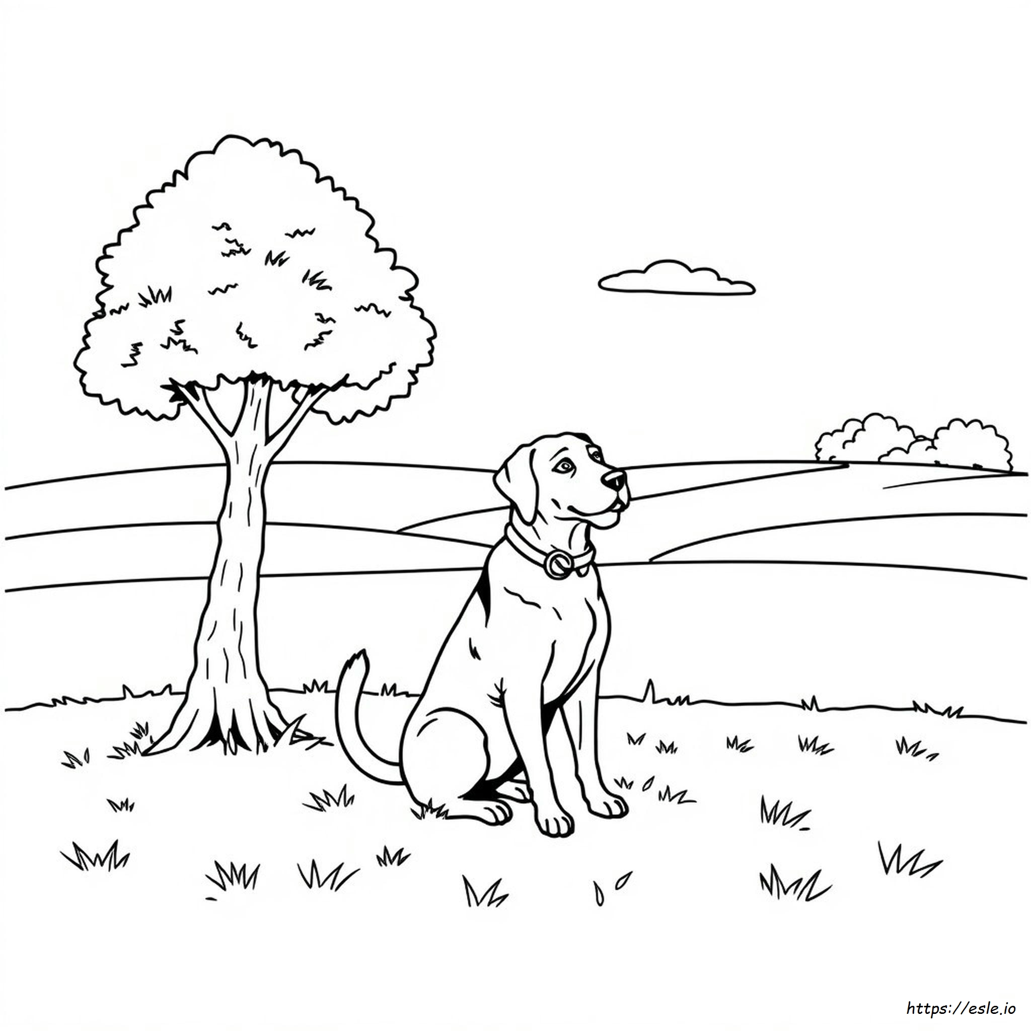 Coloring Pages Of Black Labs