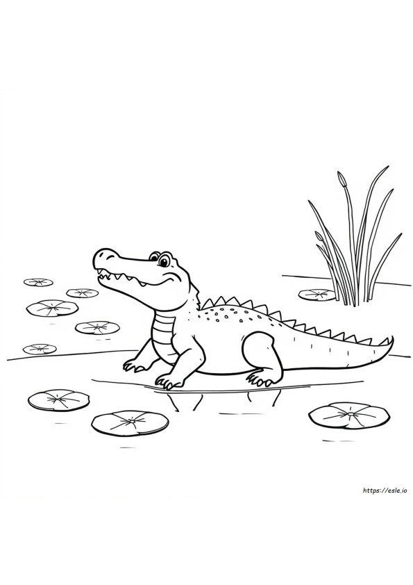 Easy Alligator Coloring Page