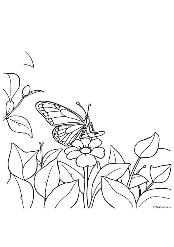 Una Página Para Colorear De Una Mariposa