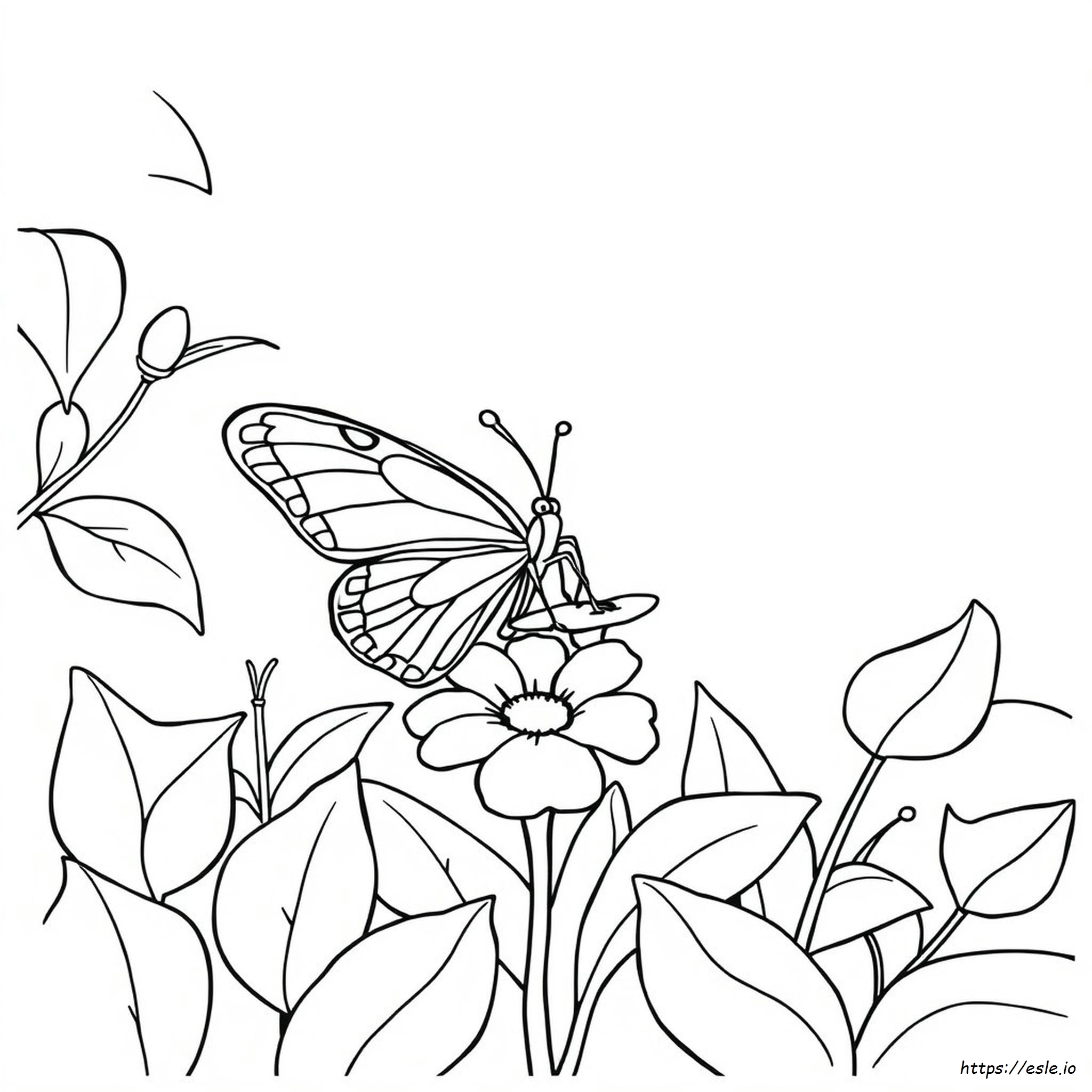 Pagina Da Colorare Di Una Farfalla