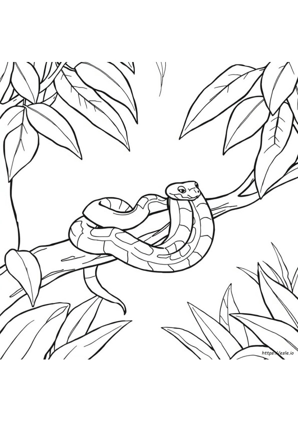 Cobra Do Milho Para Colorir