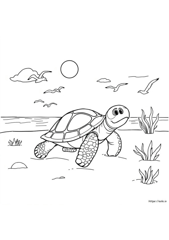 Schildpad Kleurplaten