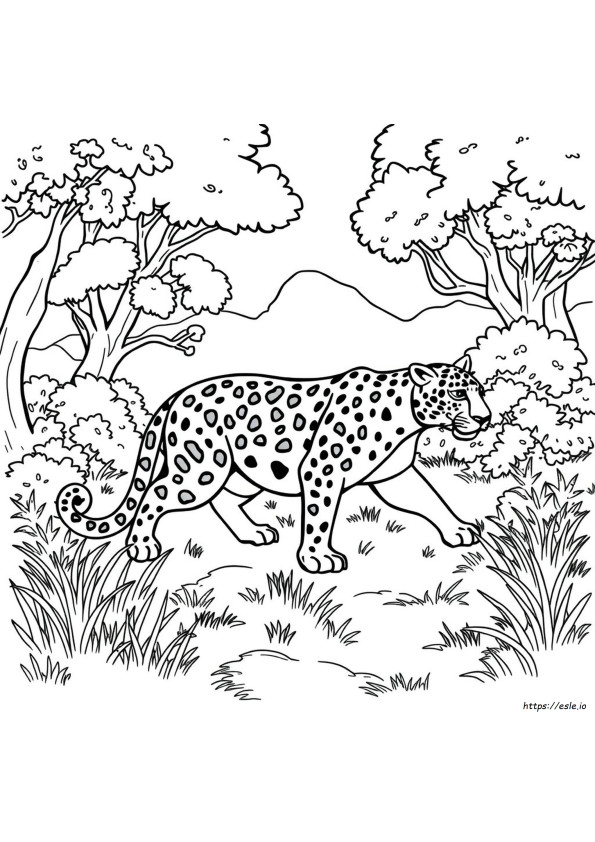 Einfache Jaguar Ausmalbilder