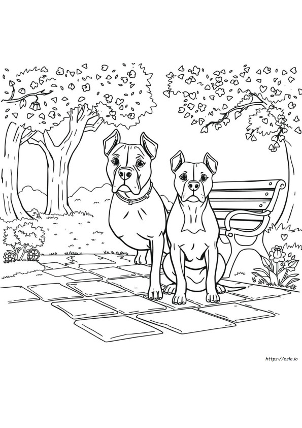 Coloriage Pitbull Pour Adultes