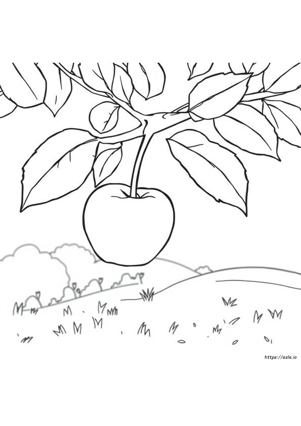 Apple Coloring Sheets Free