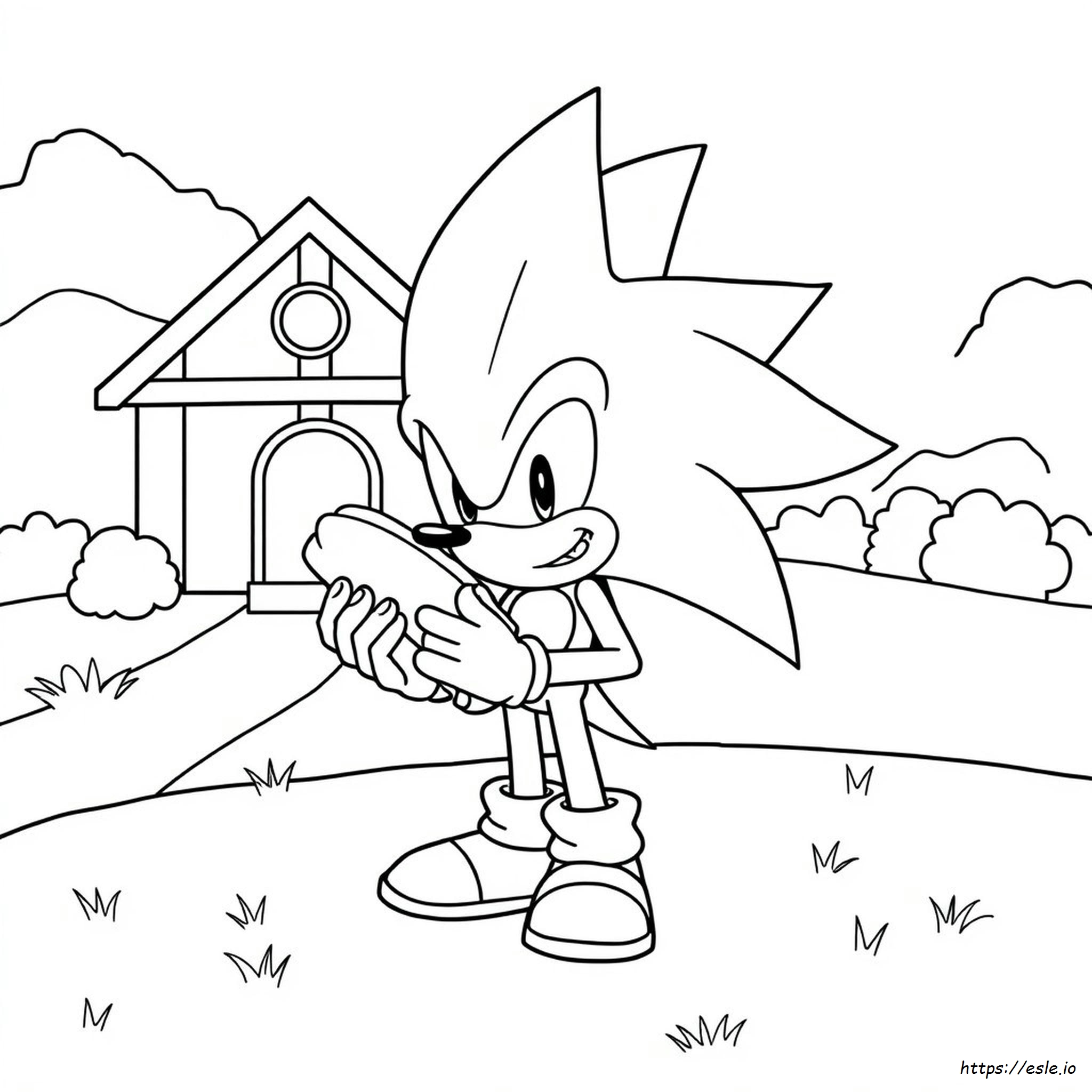 Coloriages Sonic