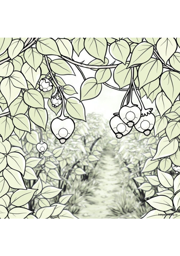 Spirit Fruit Coloring Page