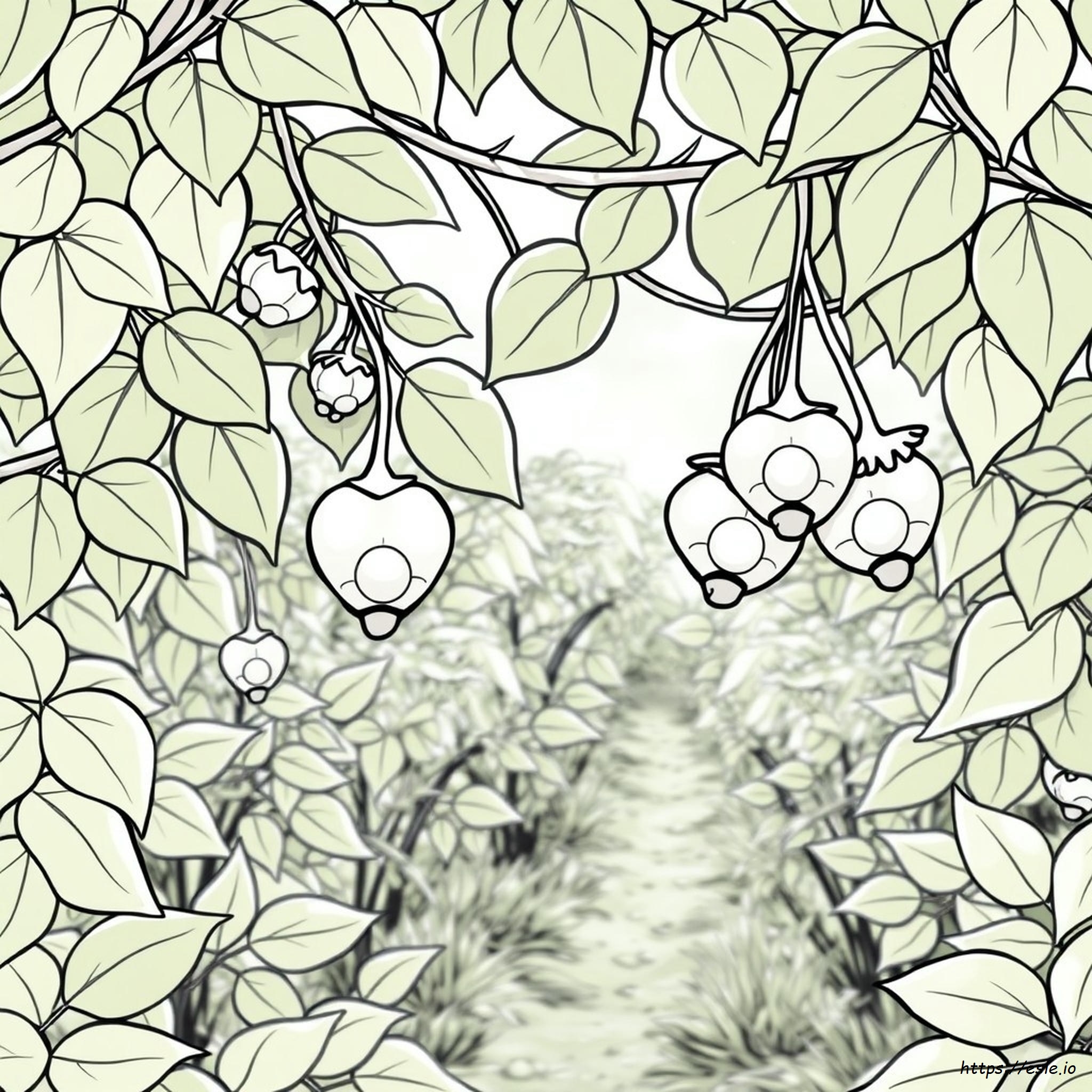 Fruta Espiritual Para Colorear