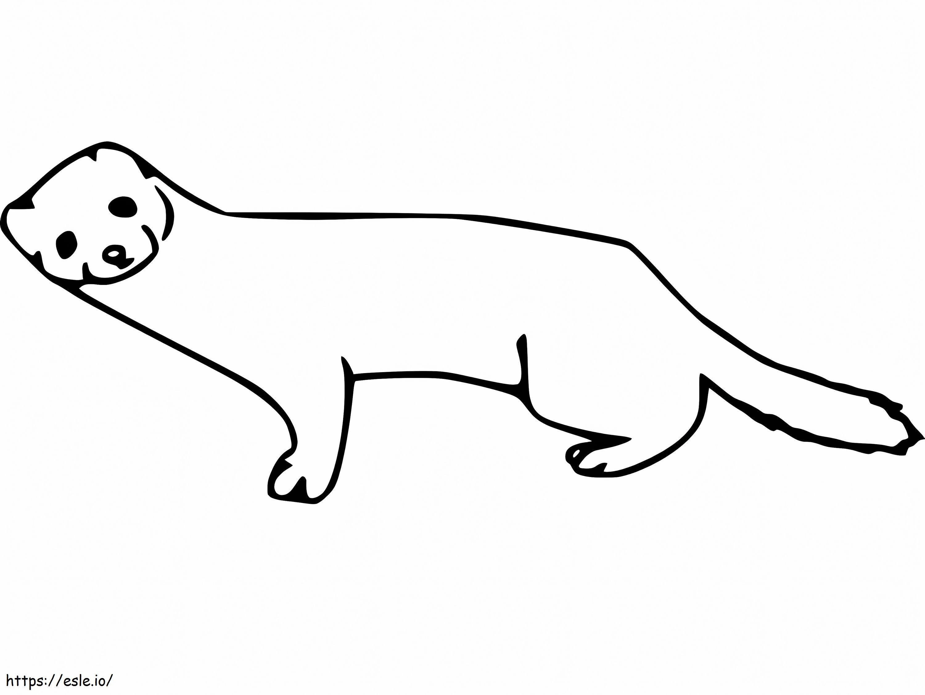 Easy Mink coloring page