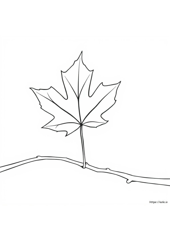 Leaf Colouring Pages