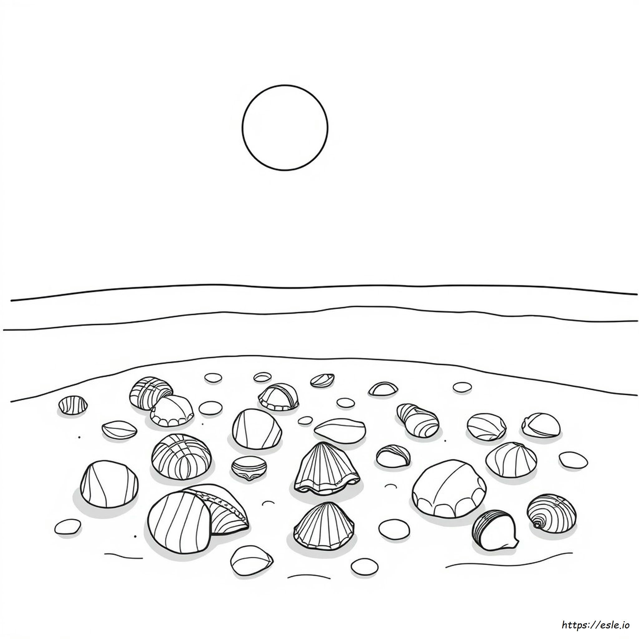 Coloring Pages Of Shells