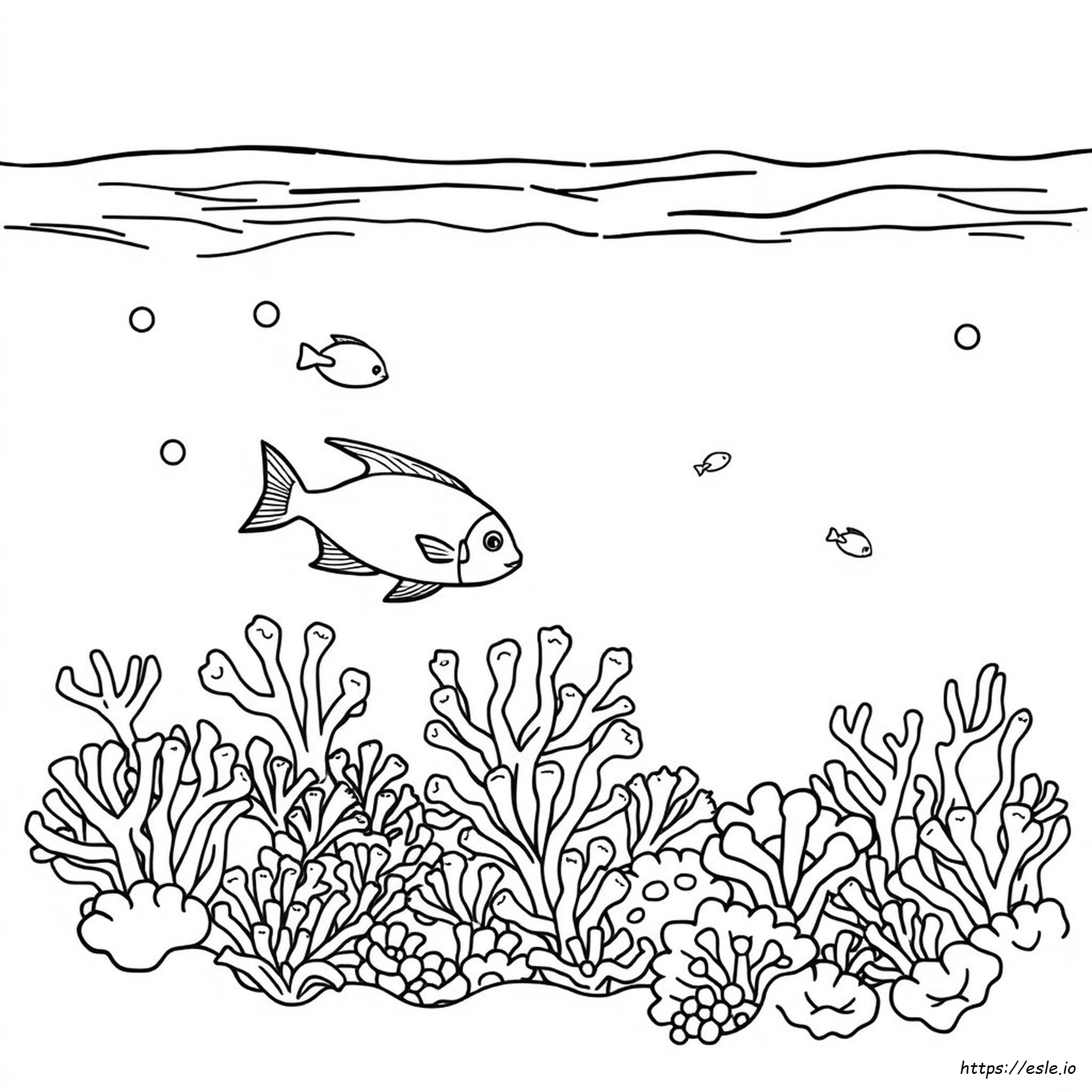 Simple Coral Reef Coloring Page