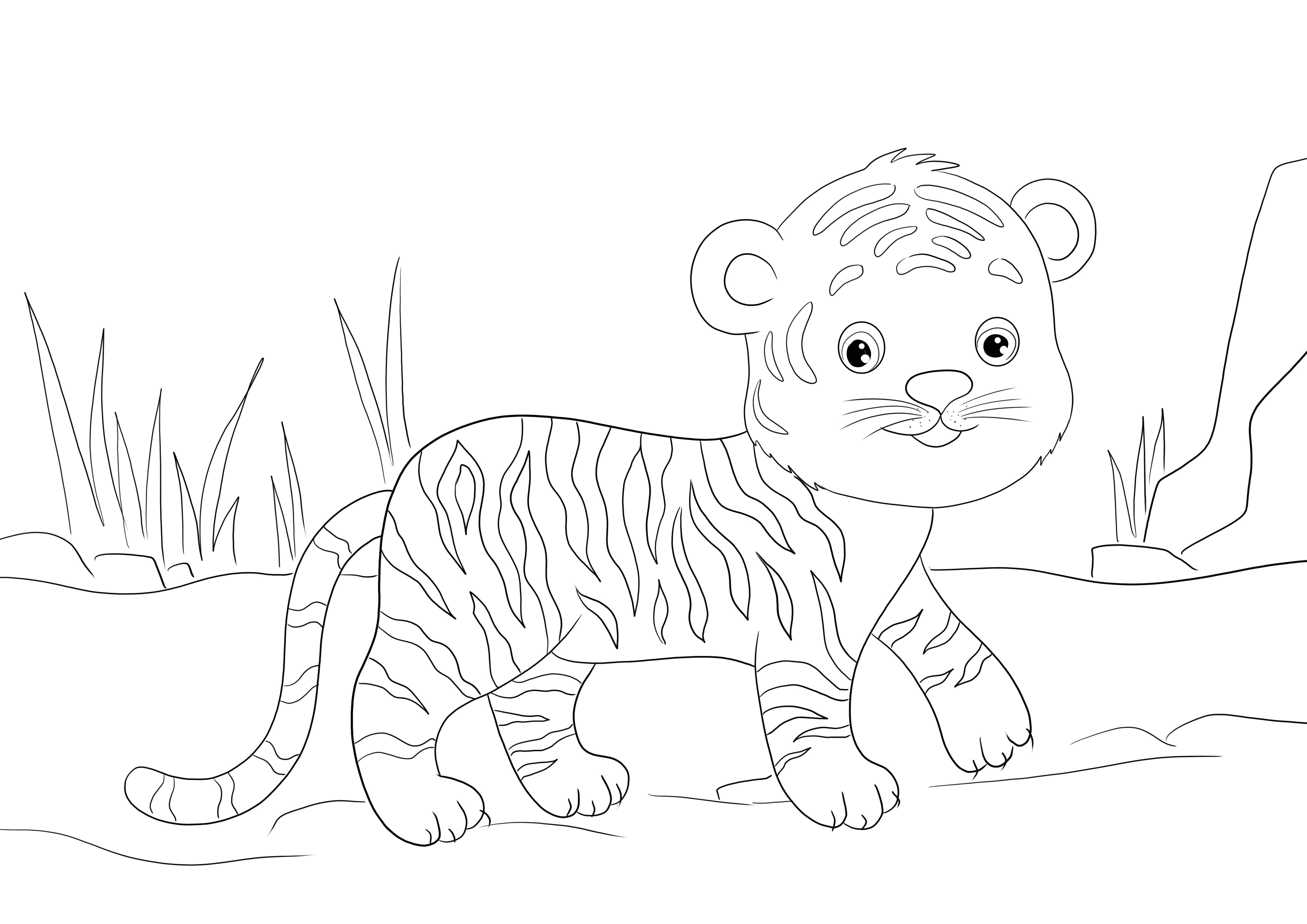 Folha de colorir grátis simples e fácil de um filhote de tigre para baixar