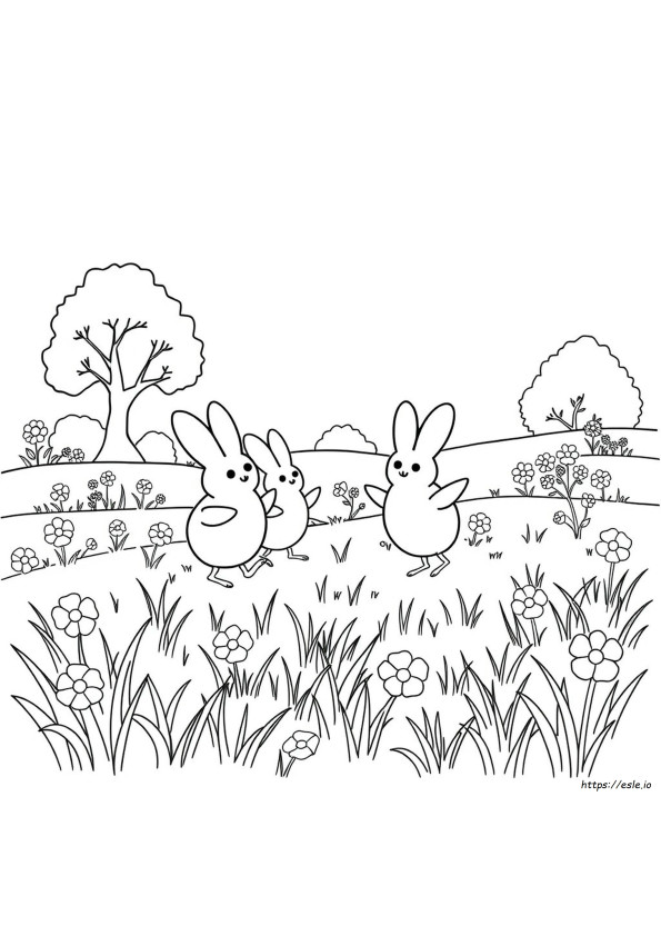 Coloriage Des Poussins Peeps