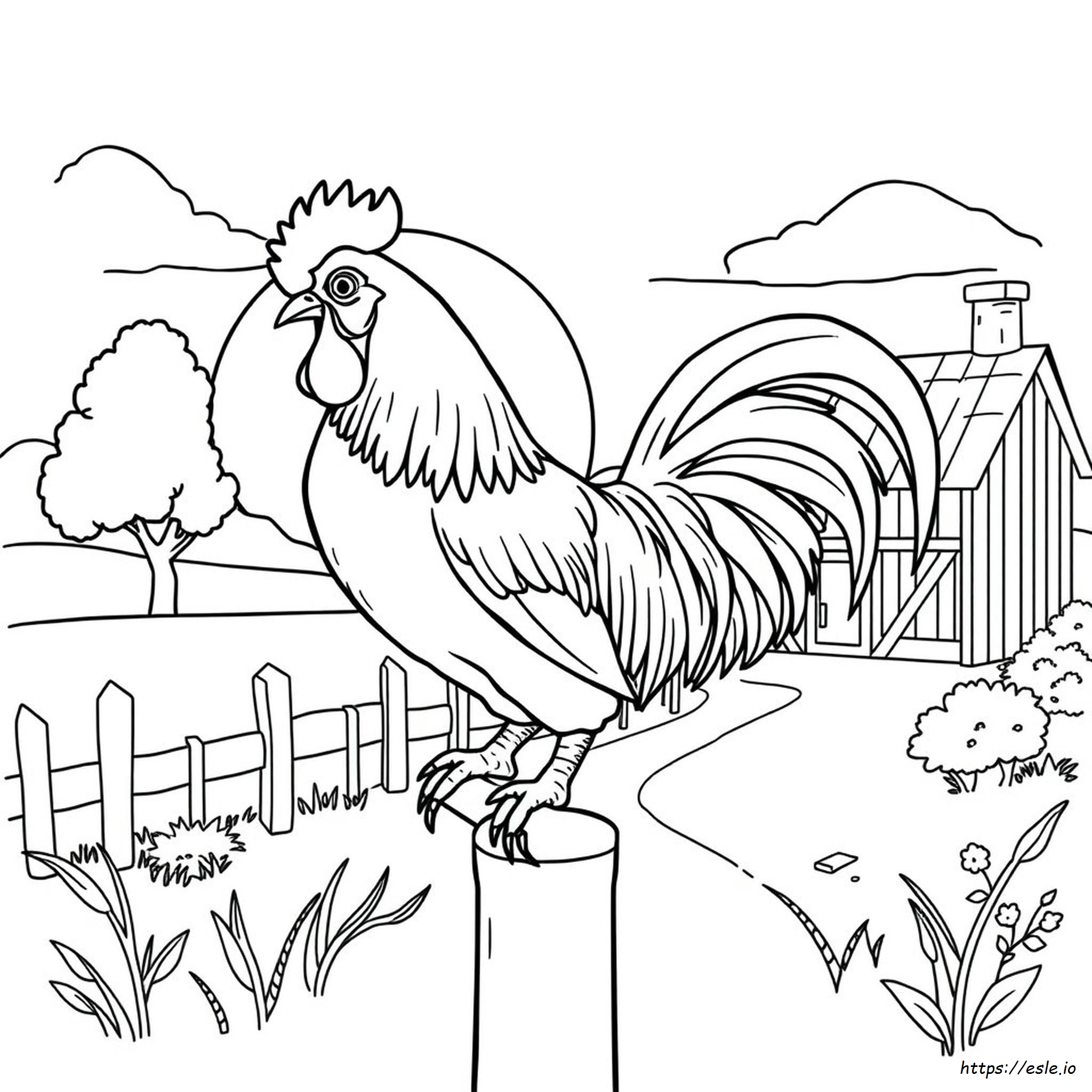 Gallina Da Colorare