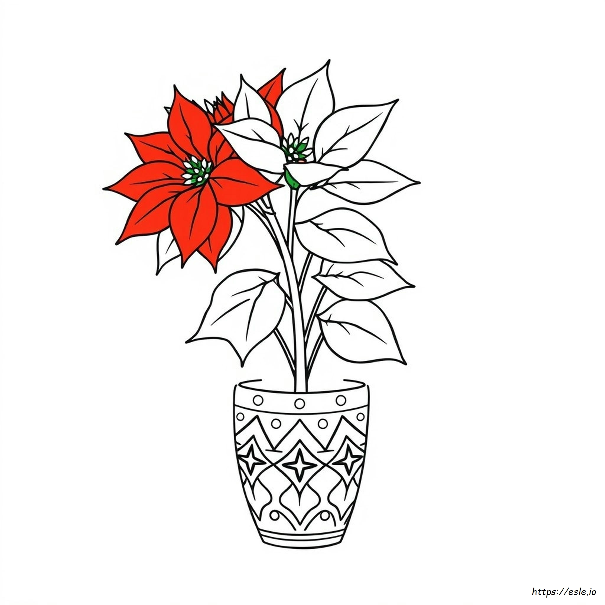 Poinsetta Coloring Page