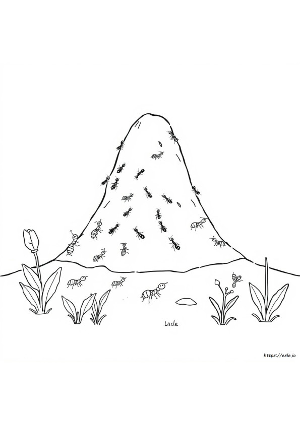Formigueiro Para Colorir
