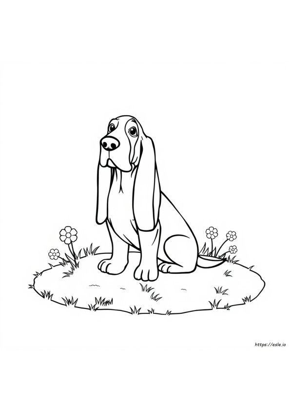Basset Hound Ausmalbild