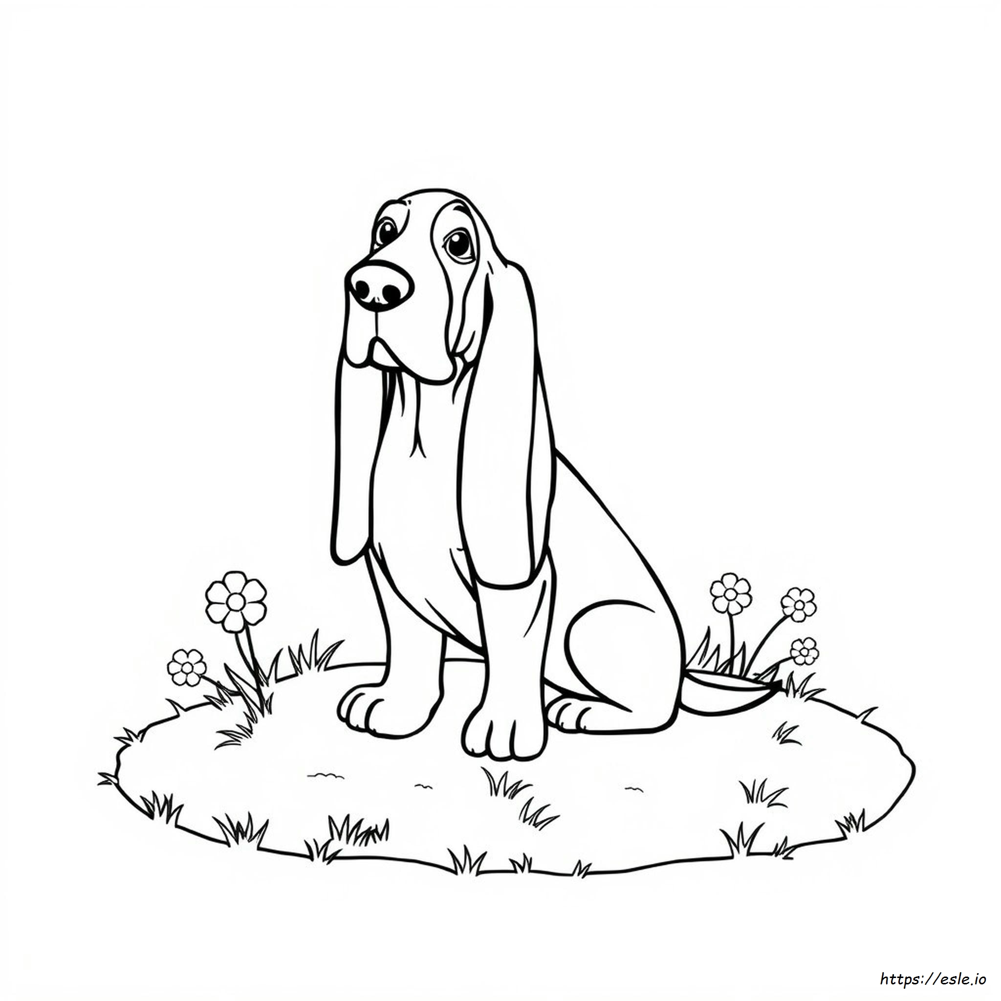 Basset Hound Coloring