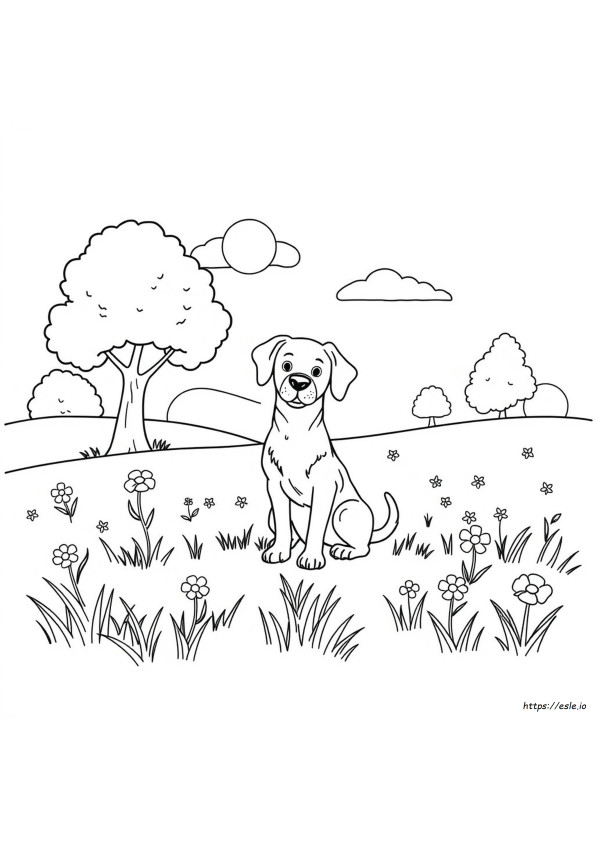 Dogs Colouring In