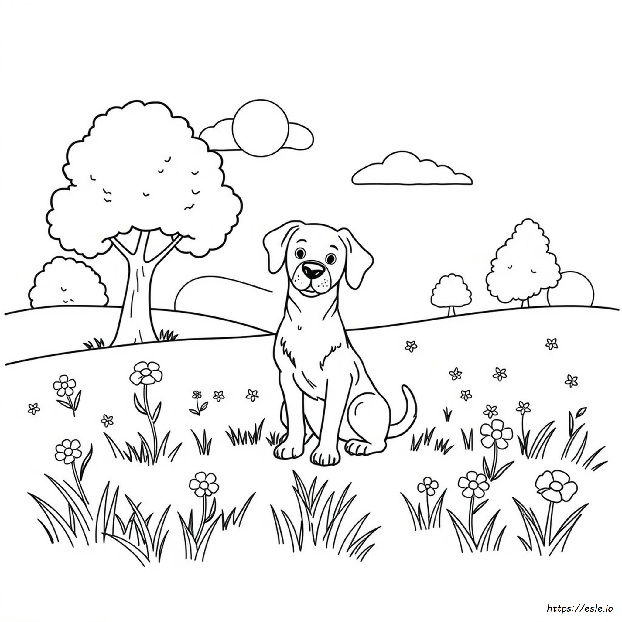 Perros Para Colorear