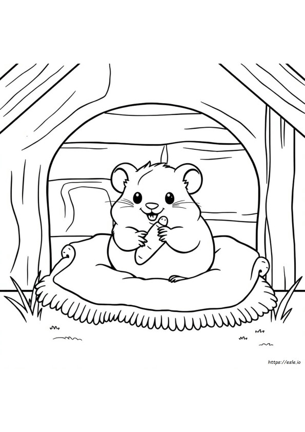 Coloriages Hamster Mignon
