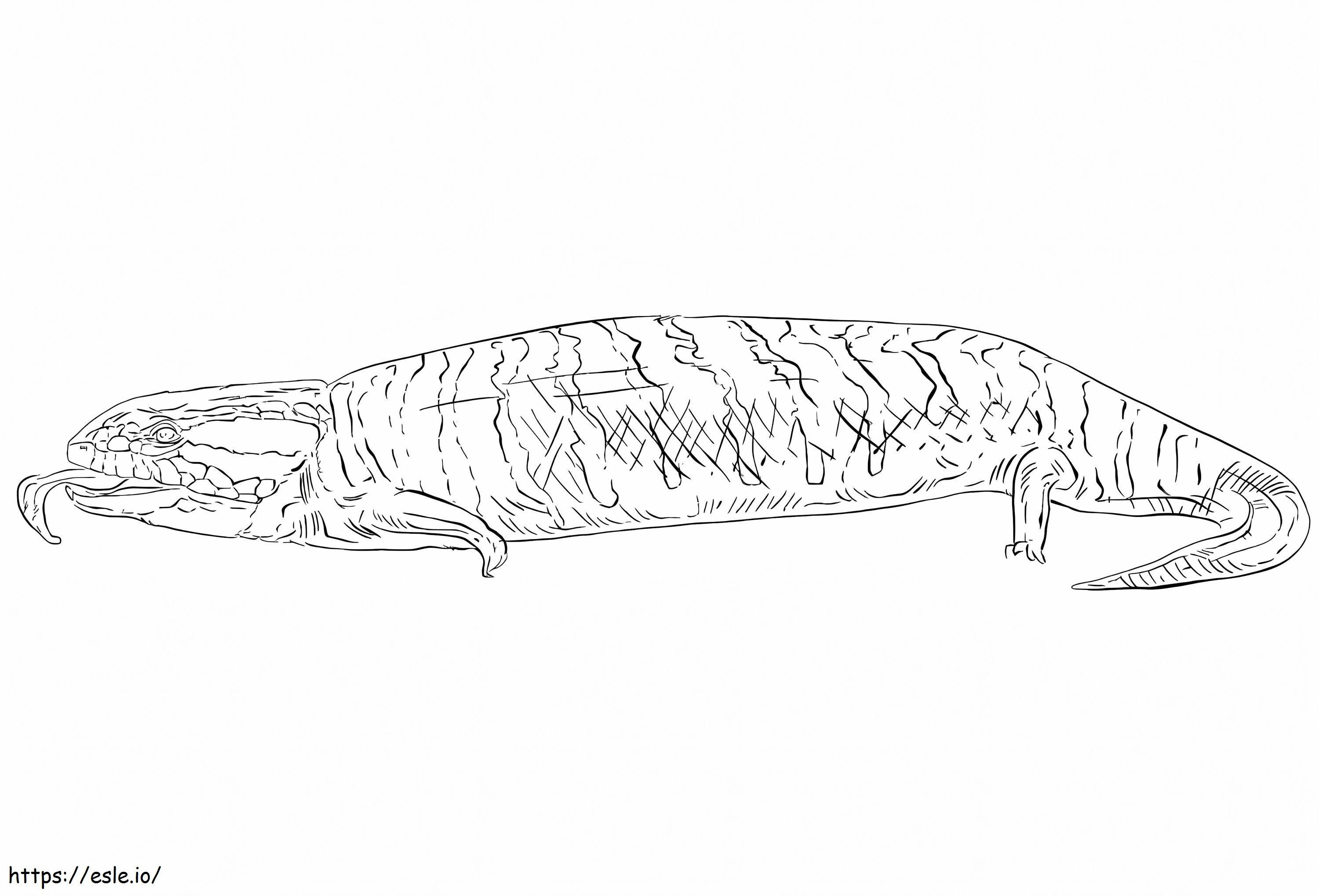 Centralian Blue Tongued Skink coloring page