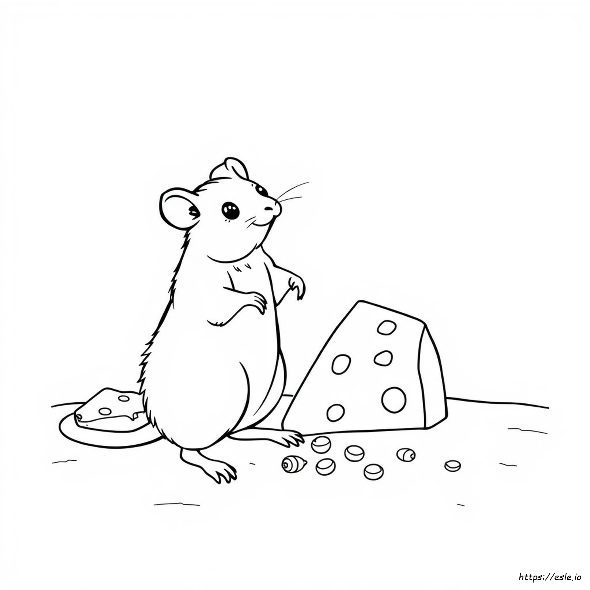 Rat Coloring Images