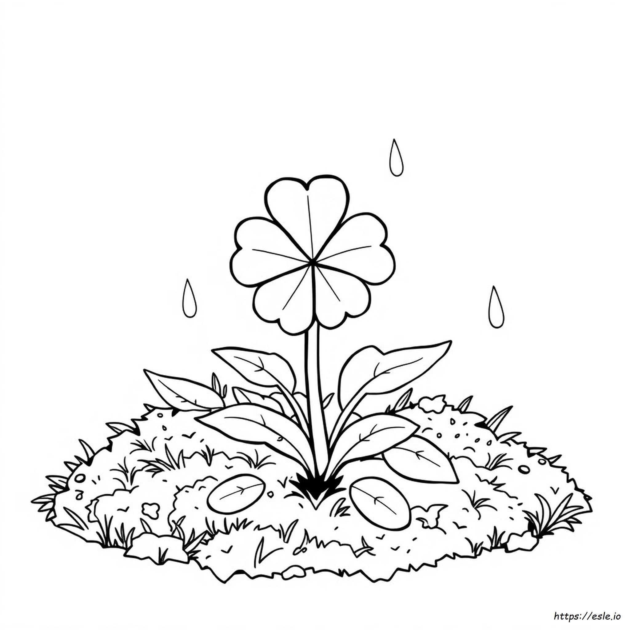 Small Shamrock Coloring Page