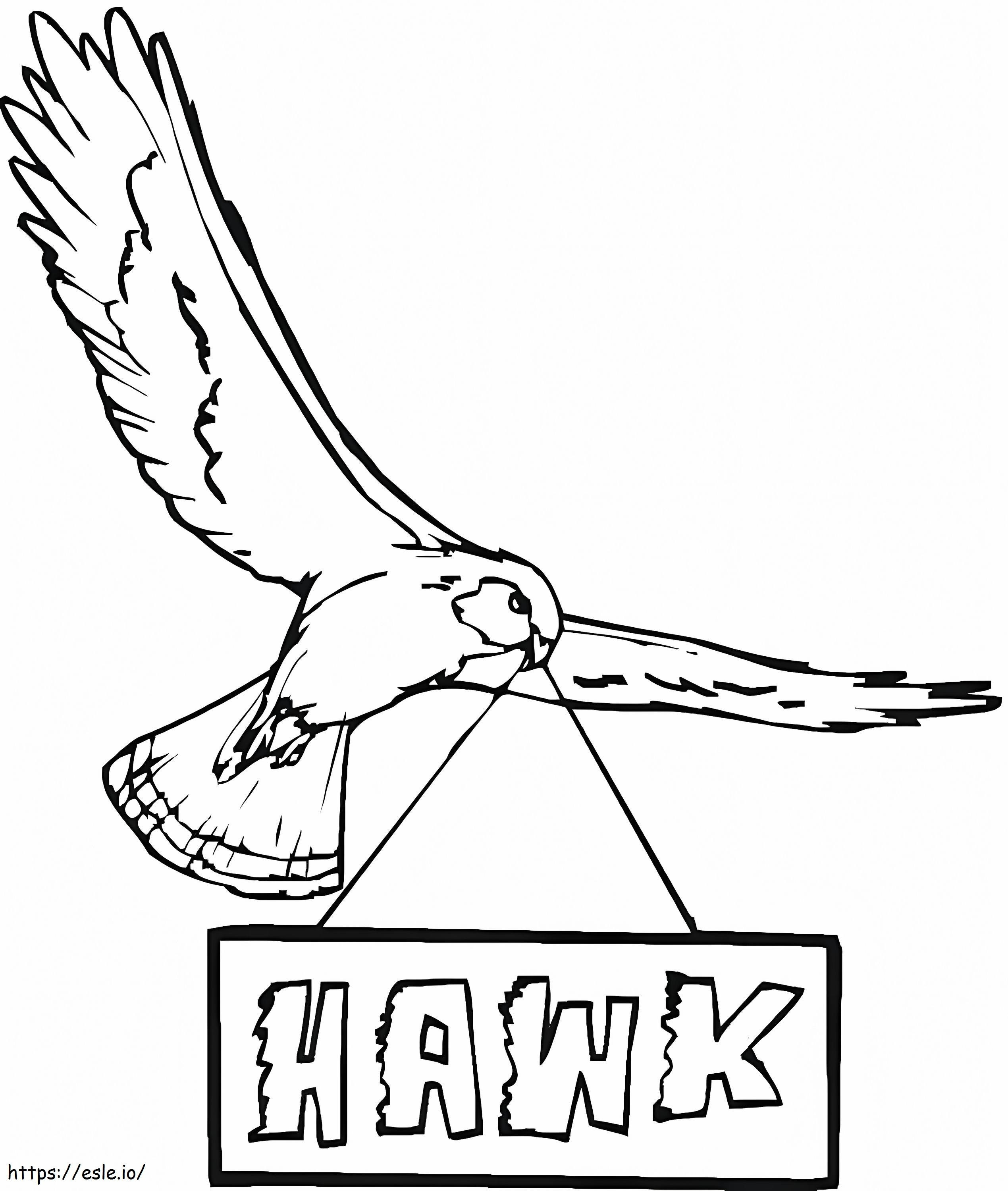 Hawk 8 coloring page