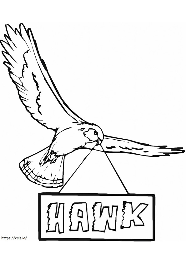 Hawk 8 coloring page