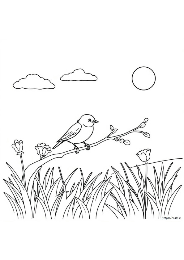 Bird Coloring Pages For Kids