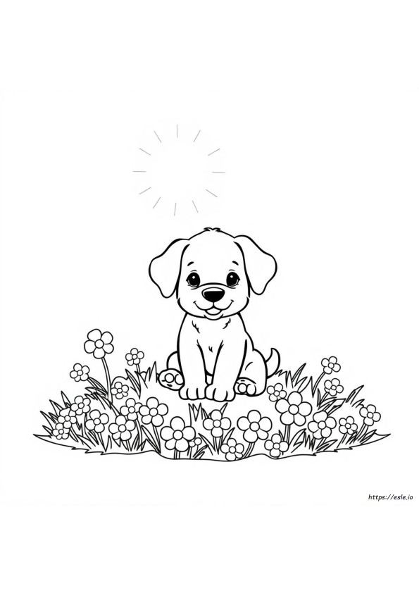 Kostenlose Hundewelpen Ausmalbilder Zum Ausdrucken
