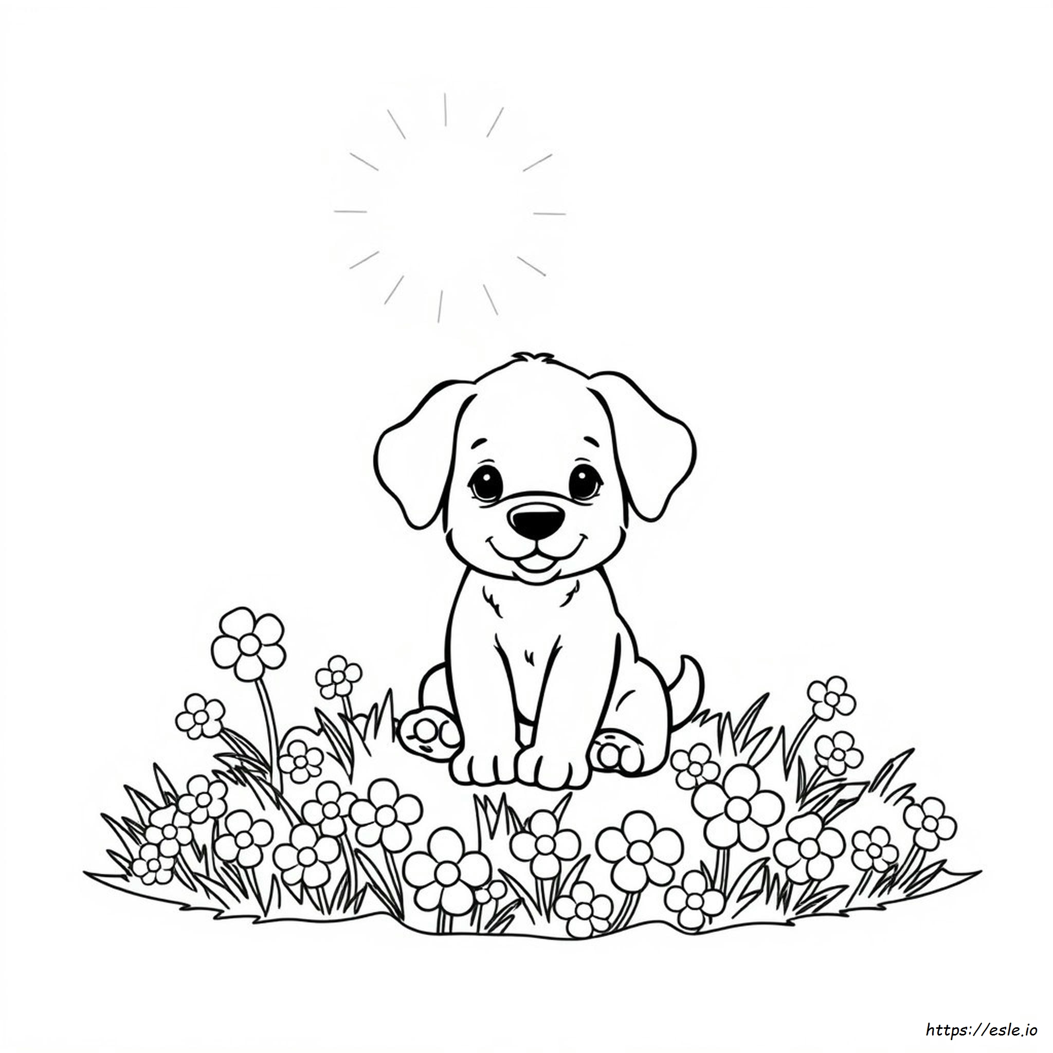 Coloriage Chiot À Imprimer Gratuit