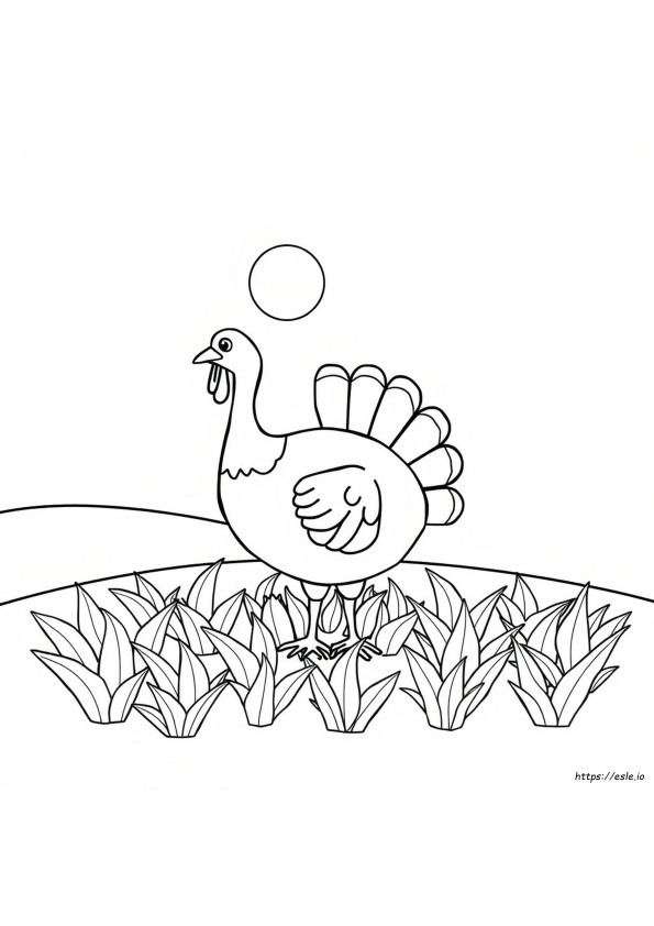 Coloriage Clipart De Dinde